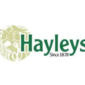 HR Internship